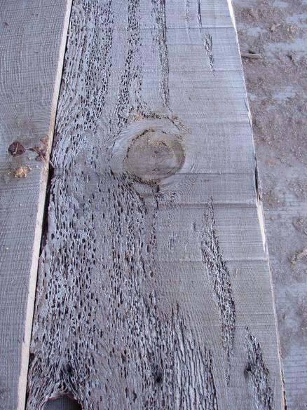 Coverboard Barnwood